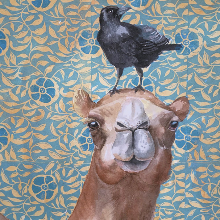 Mt. Rainier National Park, WA