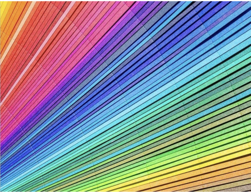 Butterfly And Flowers