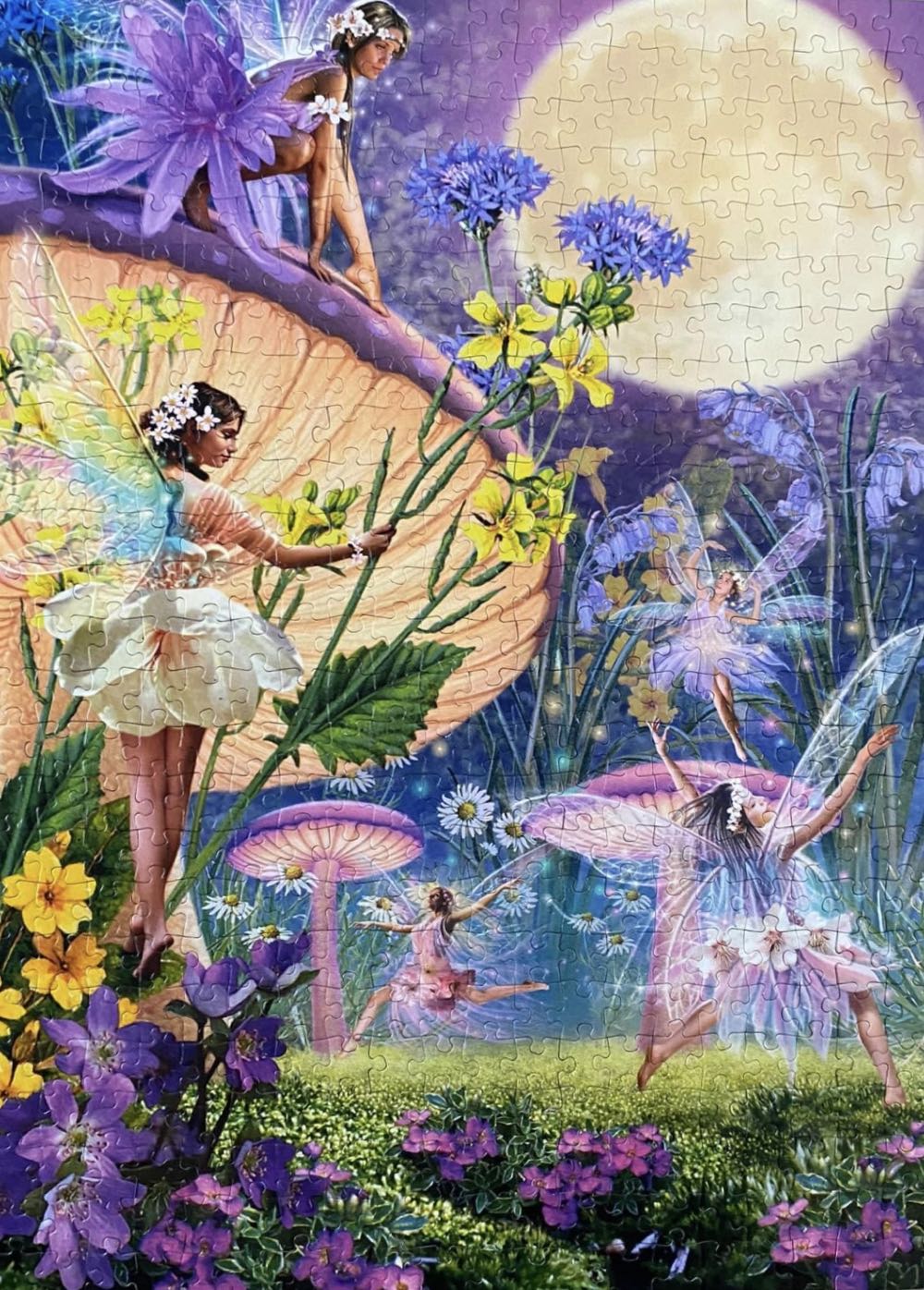 Fairy Dance In The Twilight - Jumbo puzzle collectible [Barcode 8710126188460] - Main Image 3