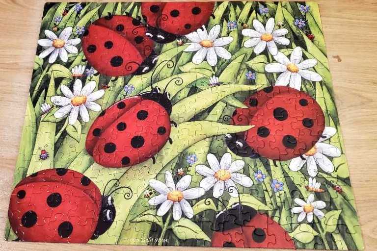 Lady Bugs - SunsOut puzzle collectible [Barcode 796780811164] - Main Image 1