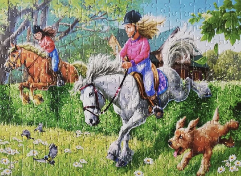 Horse Jumping 🟦 - Castorland puzzle collectible [Barcode 5904438026913] - Main Image 3