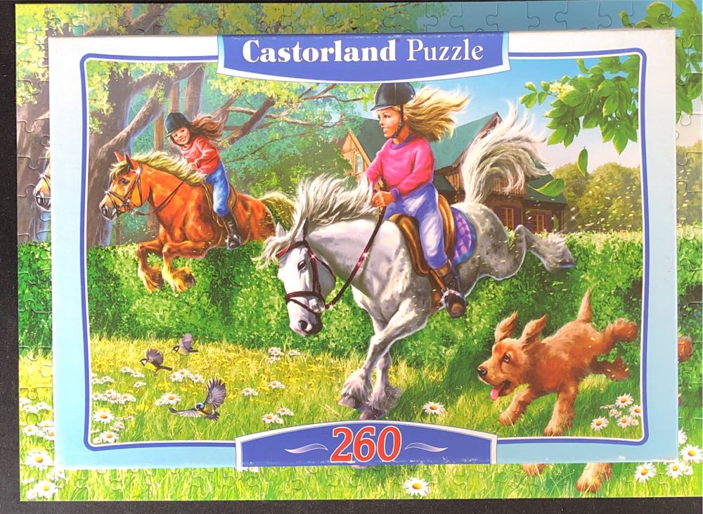 Horse Jumping 🟦 - Castorland puzzle collectible [Barcode 5904438026913] - Main Image 4