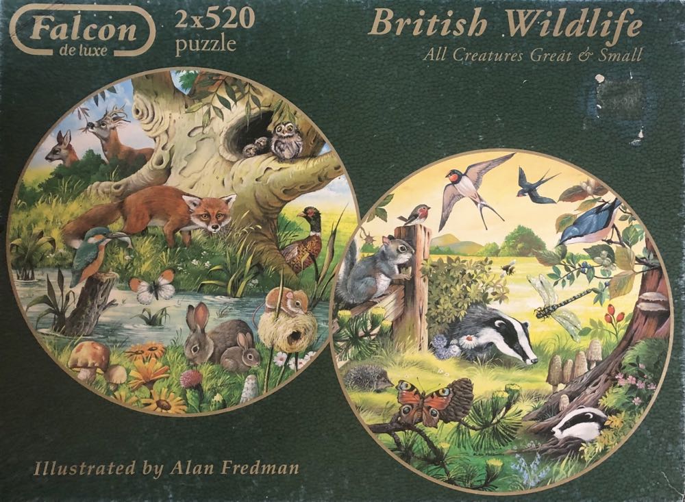 Escape Kids: Jungle Journey