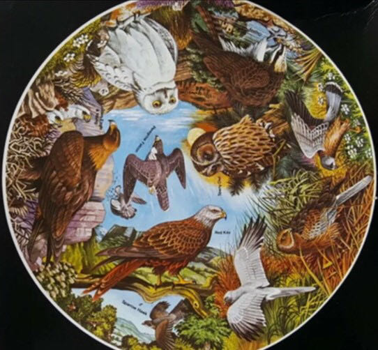 Birds Of Prey (maken) 🔴 - Waddingtons puzzle collectible - Main Image 2