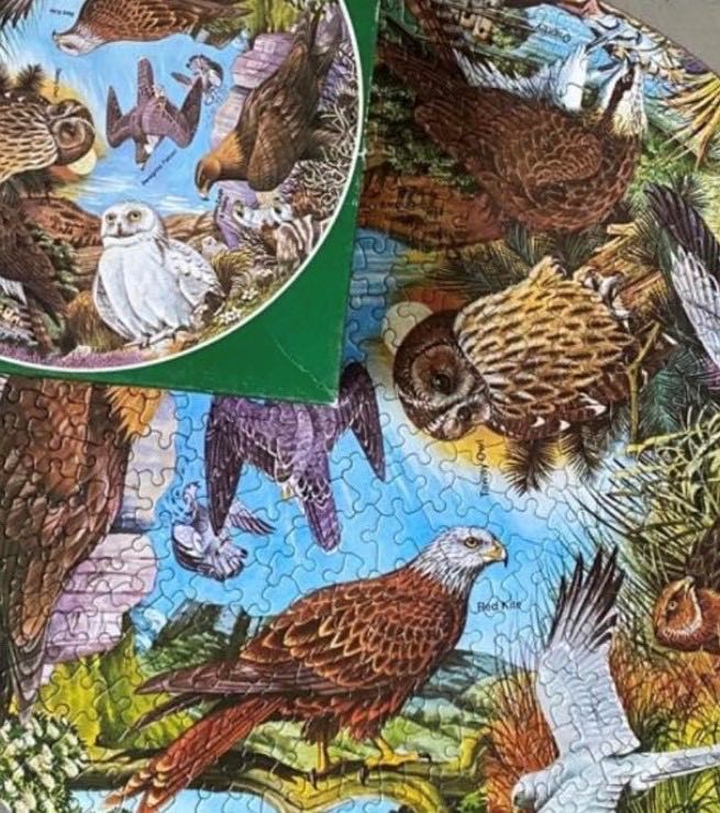 Birds Of Prey (maken) 🔴 - Waddingtons puzzle collectible - Main Image 4