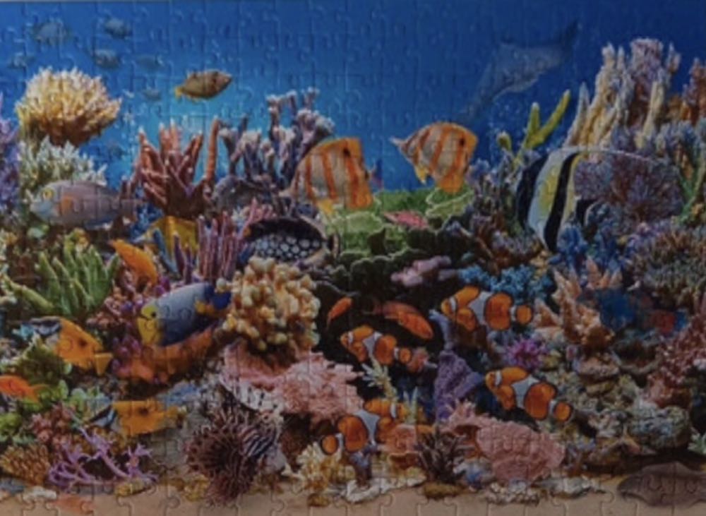 Colours Of The Ocean 🟦 - Castorland puzzle collectible [Barcode 5904438027279] - Main Image 4