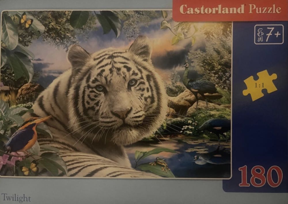 Twilight 🟦 - Castorland puzzle collectible [Barcode 5904438018192] - Main Image 3