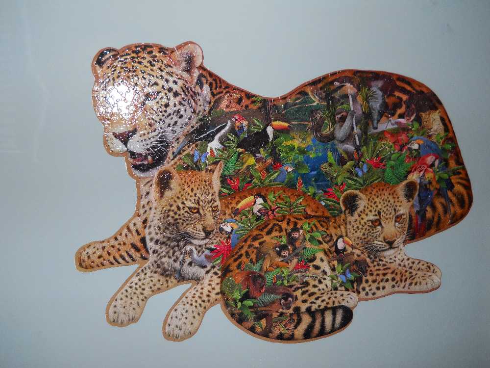 Rainforest Jaguar - SunsOut 🇺🇸 puzzle collectible - Main Image 3