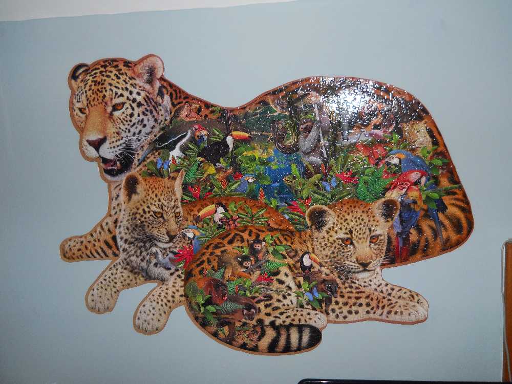 Rainforest Jaguar - SunsOut 🇺🇸 puzzle collectible - Main Image 4