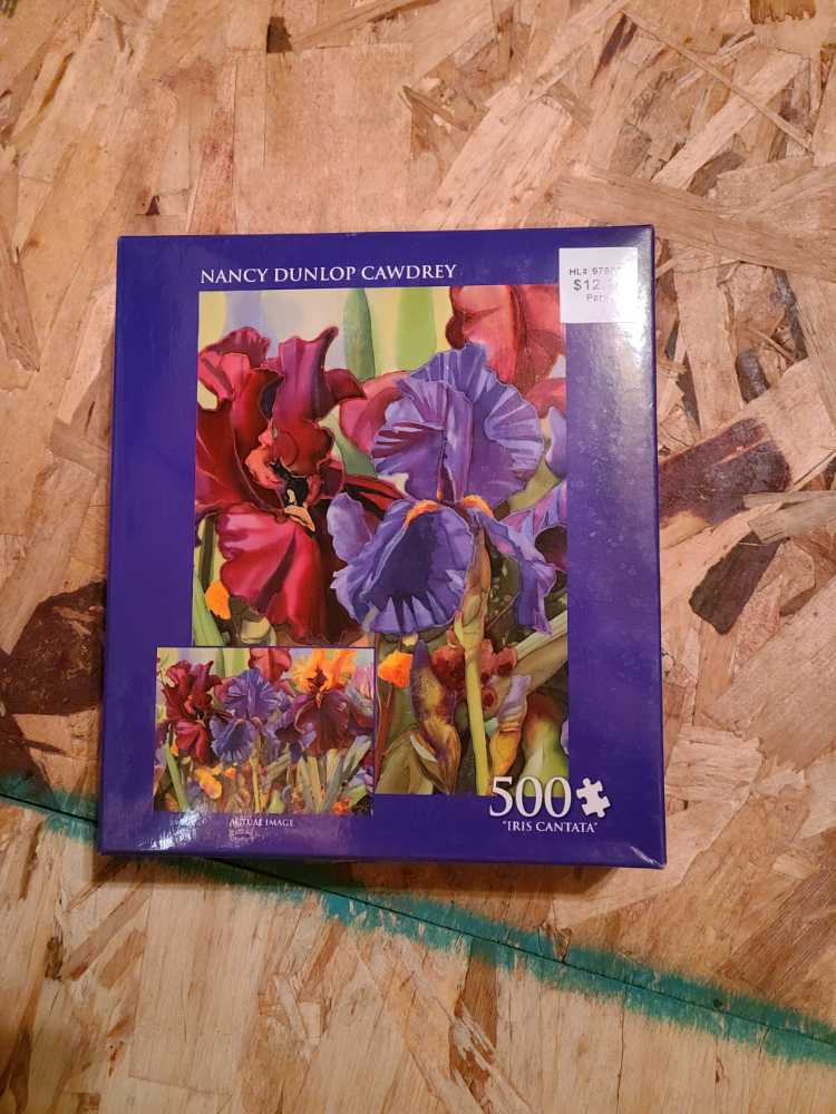 Black Cats In The Garden