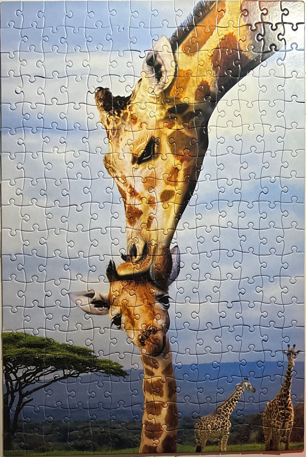 Giraffes - EuroGraphics puzzle collectible [Barcode 628136092944] - Main Image 2