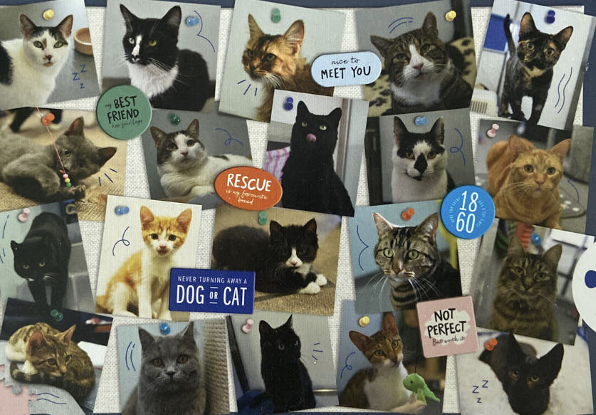 Battersea Top Cats 🟦 - Marks & Spencer Jigsaw Puzzles puzzle collectible - Main Image 2