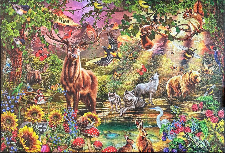 Magic Forest At Sunset (Tamara €0,00) - Jumbo puzzle collectible [Barcode 8710126820032] - Main Image 3