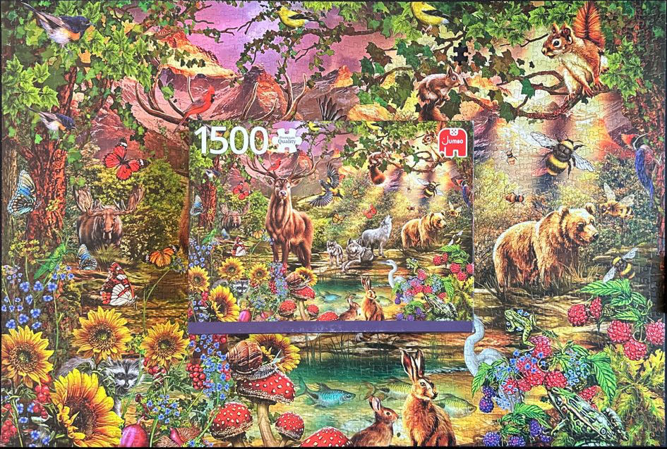 Magic Forest At Sunset (Tamara €0,00) - Jumbo puzzle collectible [Barcode 8710126820032] - Main Image 4