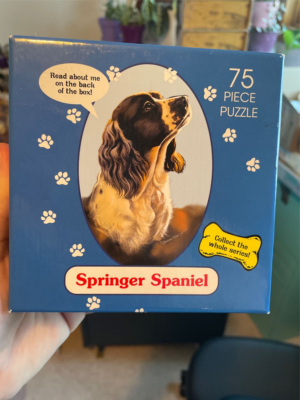 550 Piece Blue Ridge Parkway J. Scott Graham