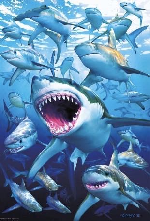 Shark Club - Educa puzzle collectible [Barcode 8412668170858] - Main Image 2