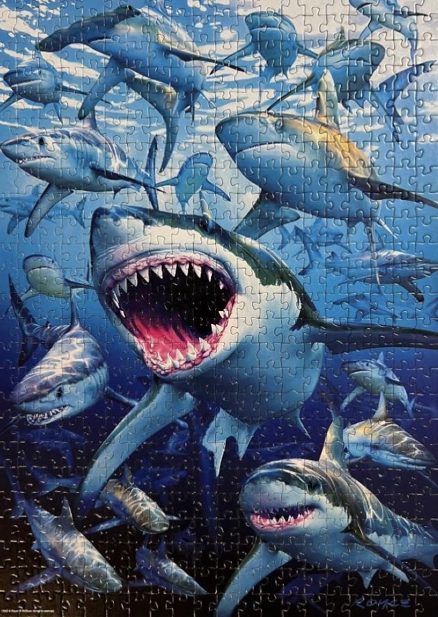 Shark Club - Educa puzzle collectible [Barcode 8412668170858] - Main Image 3