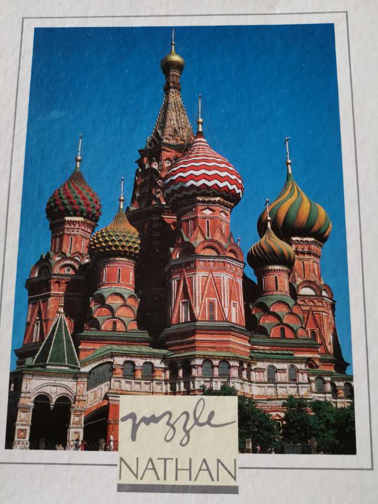 Painted Buntings In The Garden 