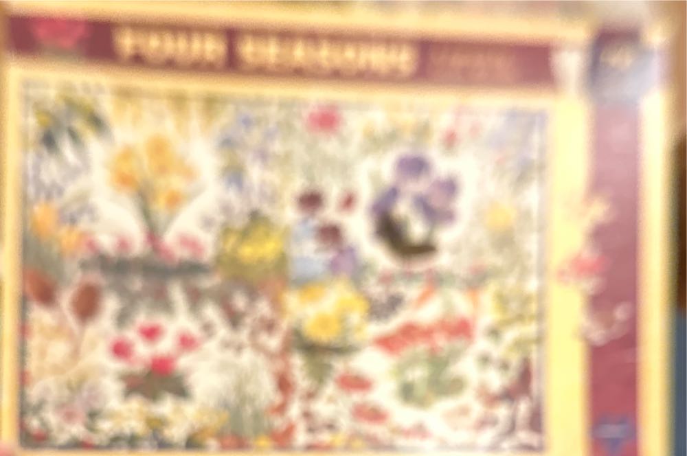 Baloo The Pirates 🟦