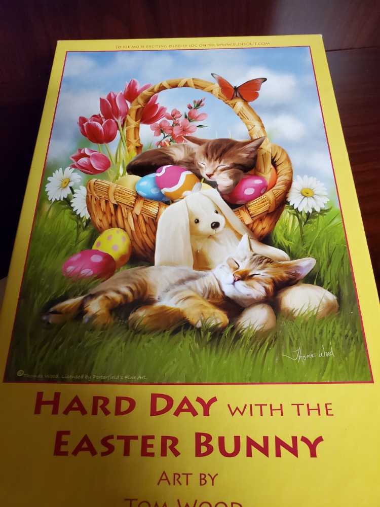 Hanayama ENIGMA Lvl 6