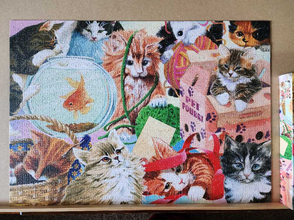 Curious Cats - Enjoy Puzzle puzzle collectible [Barcode 5949194018987] - Main Image 3
