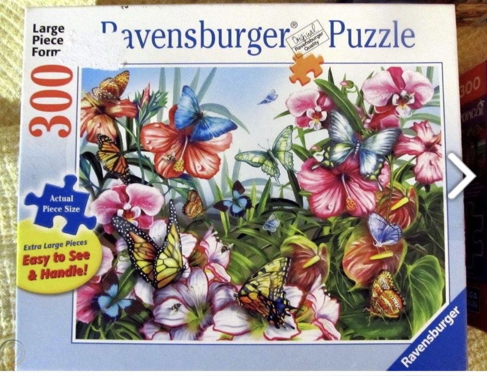 Hidden Shapes Motorhome Trip