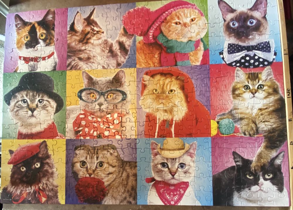 Silly Cats - Eurographics puzzle collectible [Barcode 628136656061] - Main Image 2