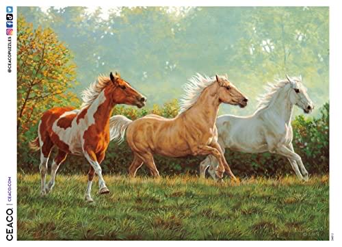 What Do You Meme? Kitty Cat Collage