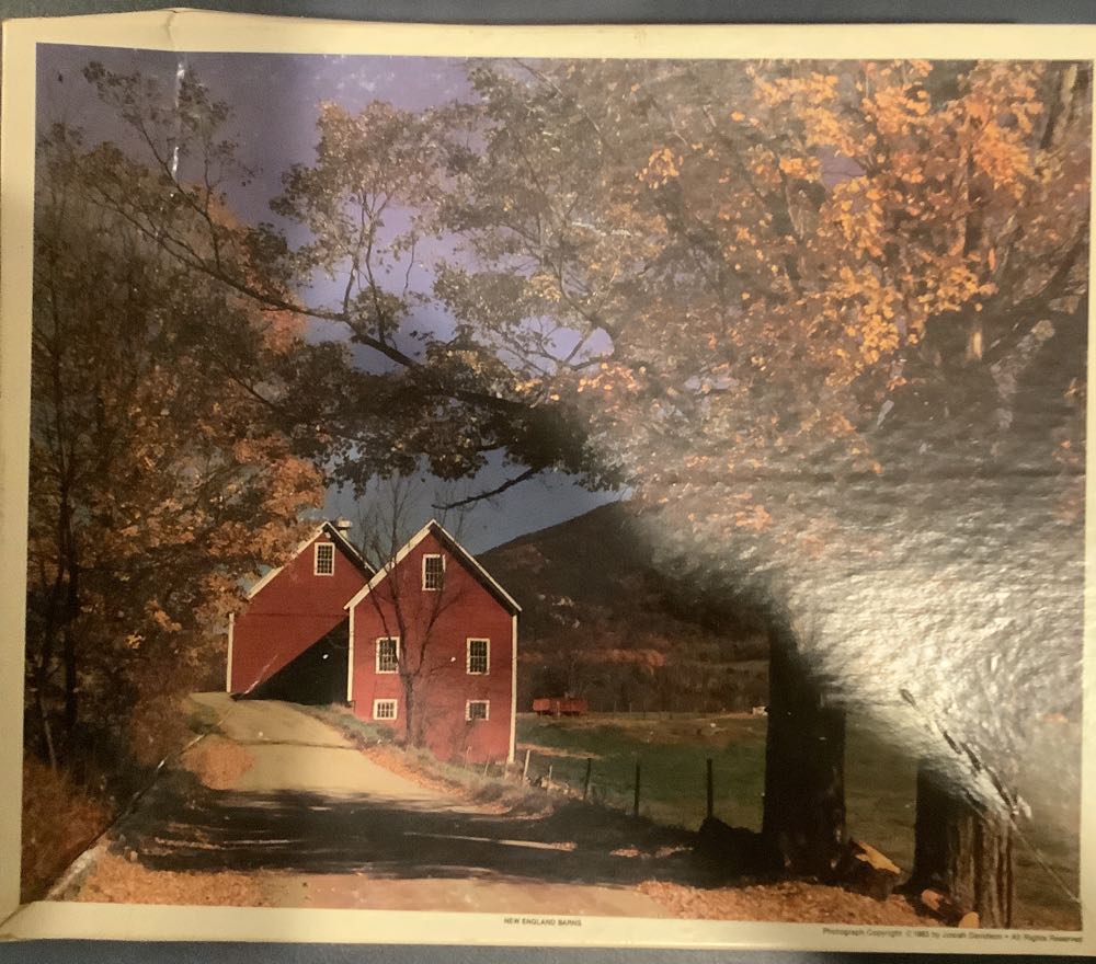 The Smurf’s Garden