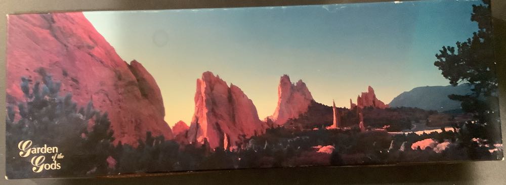 Pumpkins Cat Ghost Spider