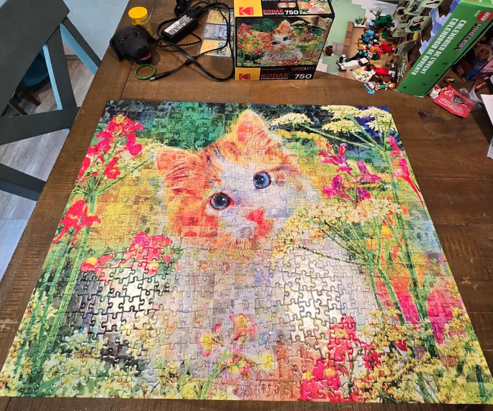 Cute Kittens in the Flowers ✅ - Kodak puzzle collectible [Barcode 4895145485708] - Main Image 2