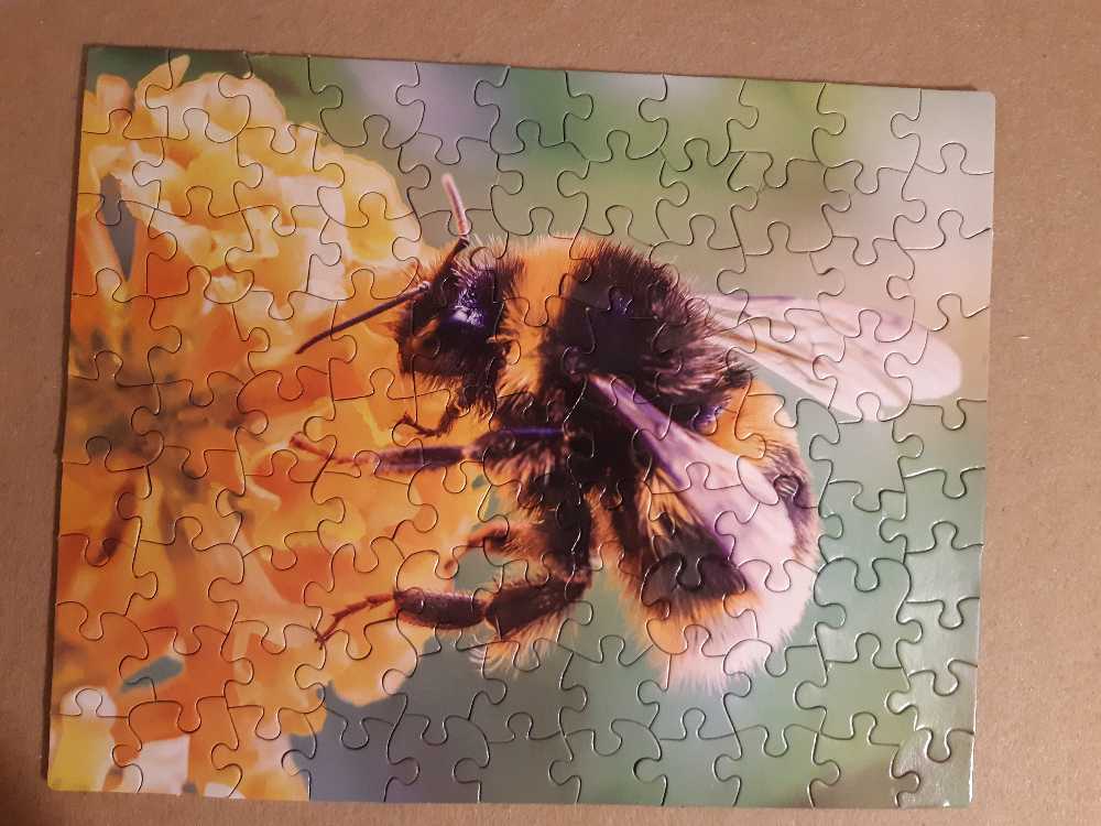 Fuzzy Bumblebees & Save The Bees  - CraZArt puzzle collectible [Barcode 639277886521] - Main Image 2