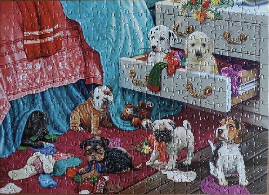 Puppies in the Bedroom 🟦 - Castorland puzzle collectible [Barcode 5904438030392] - Main Image 3