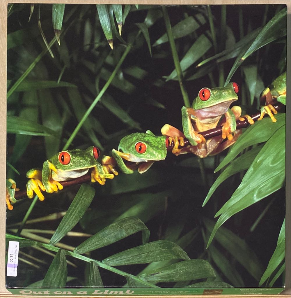 Image 72910