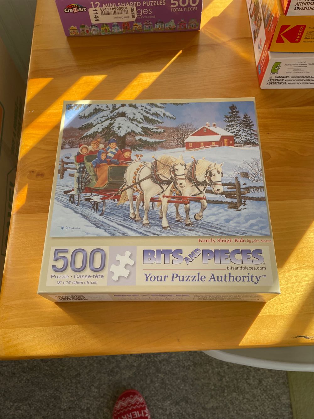 Playful Summer Dolphins