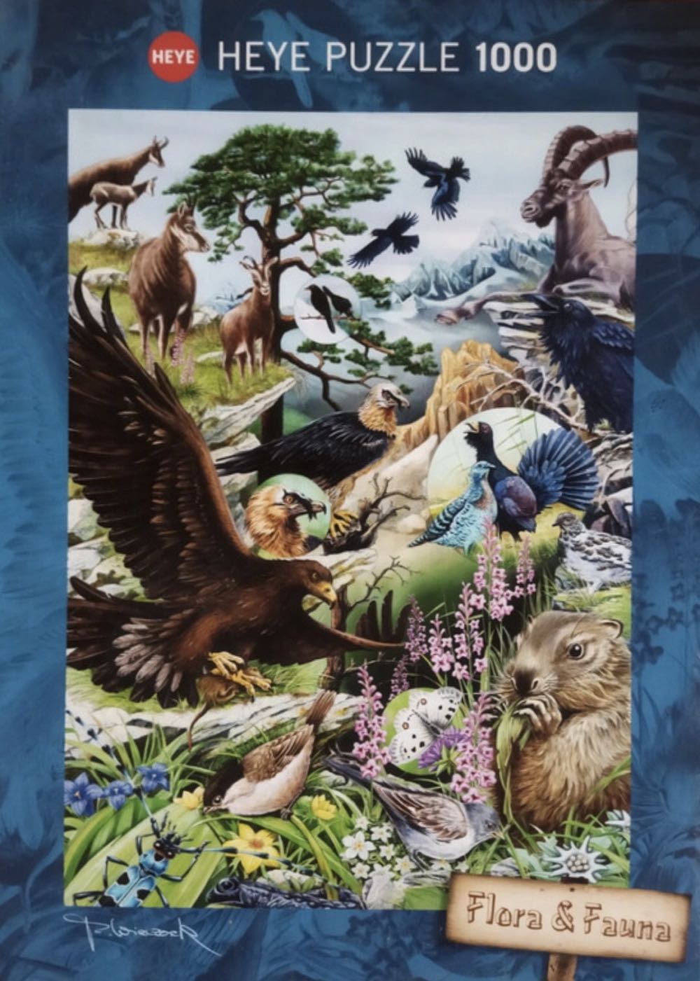 Rainbow Knitting Yarn