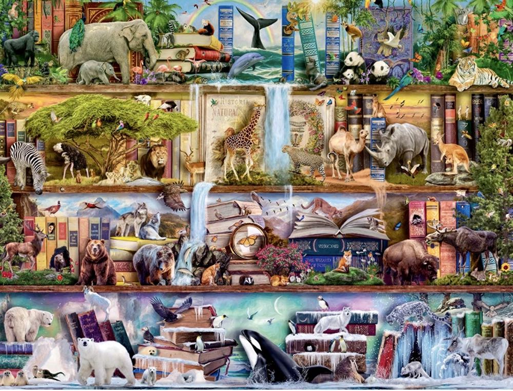 Santa Claus/ Kerstman / Noël🟦