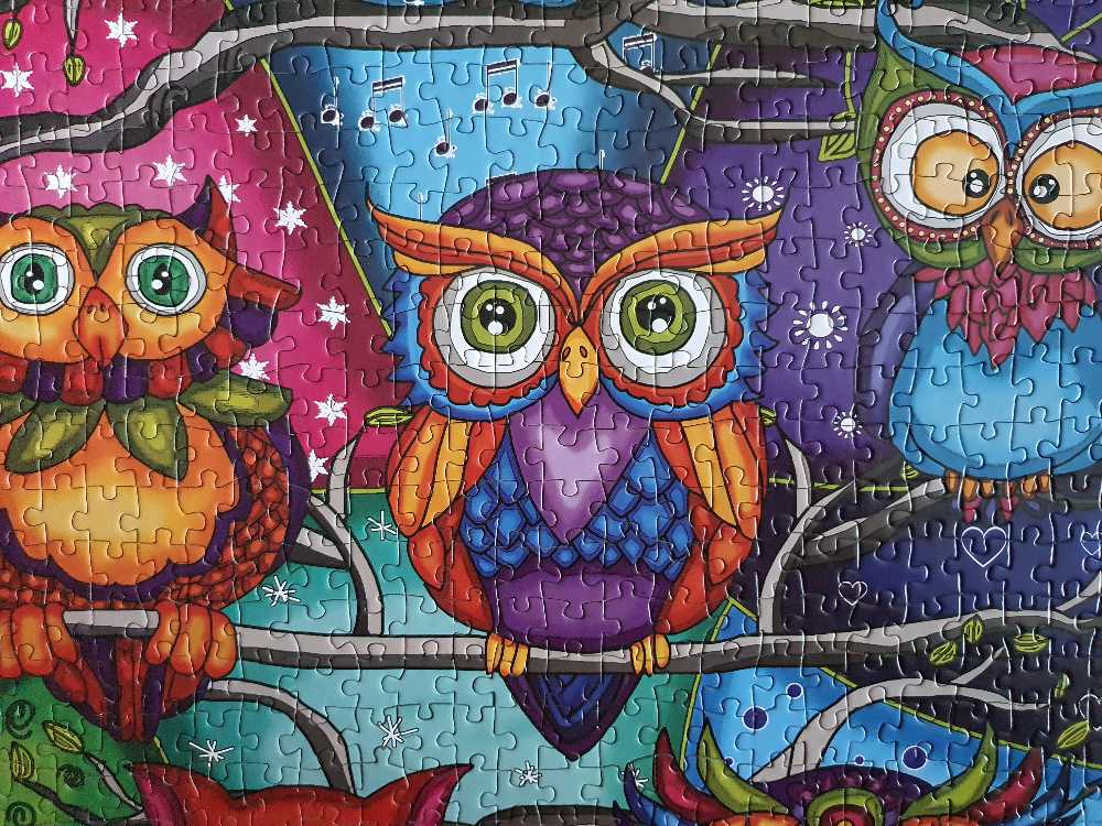 Owl Always Be There - JaCaRou puzzle collectible [Barcode 731093611308] - Main Image 3