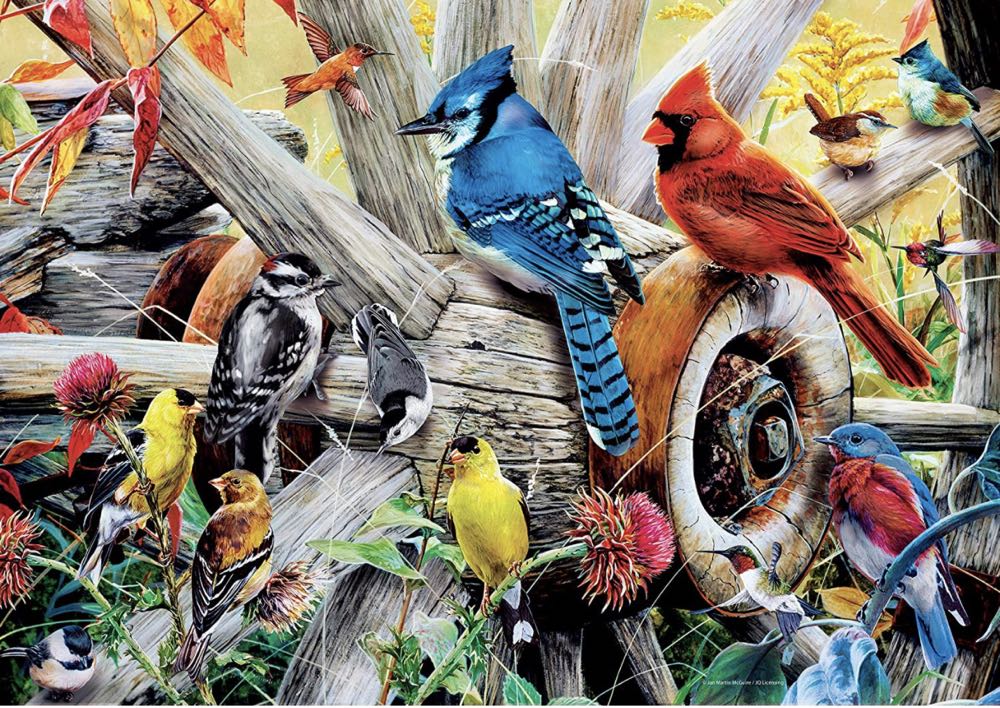 Family Game Night- NEW