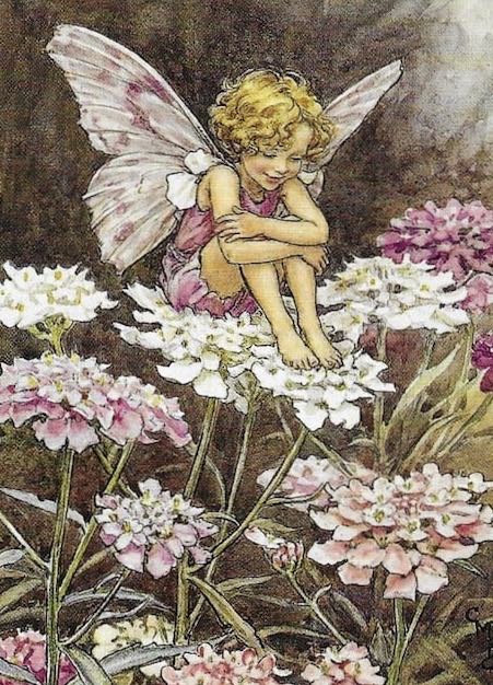 Flower Fairies Sweet Pea Fairy - Master - Line puzzle collectible - Main Image 2