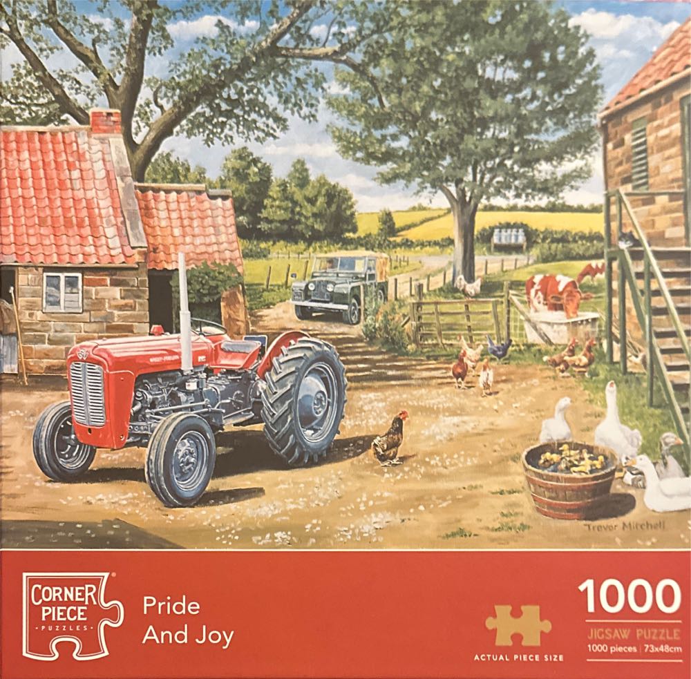 The Simpsons Beach Puzzle