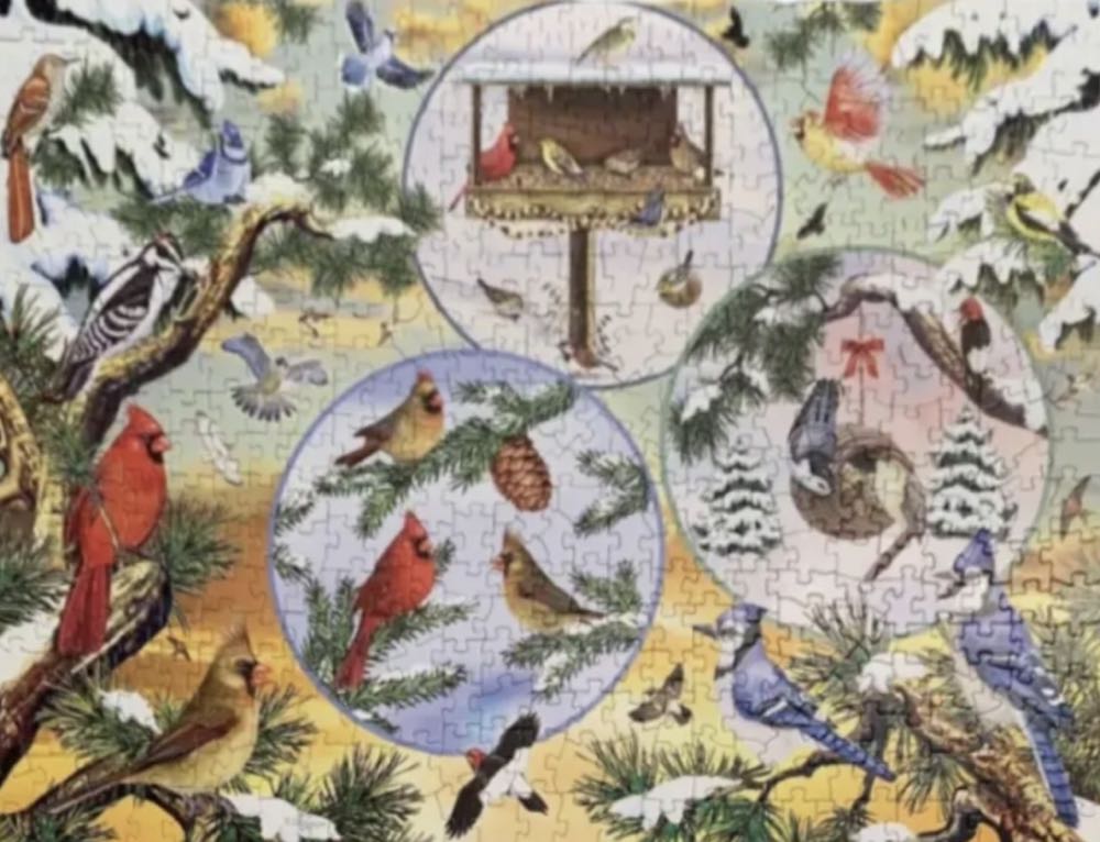 Winterbird Magic🐦 - Cobble Hill Puzzle Company puzzle collectible [Barcode 0625012850575] - Main Image 3