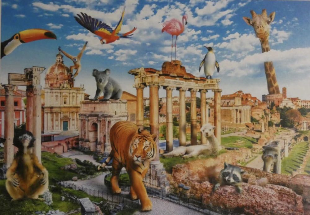 Wild Rome - Trefl puzzle collectible [Barcode 5900511106008] - Main Image 2