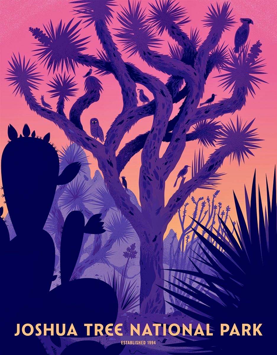 National Parks Set : Joshua Tree - Ceaco puzzle collectible - Main Image 2