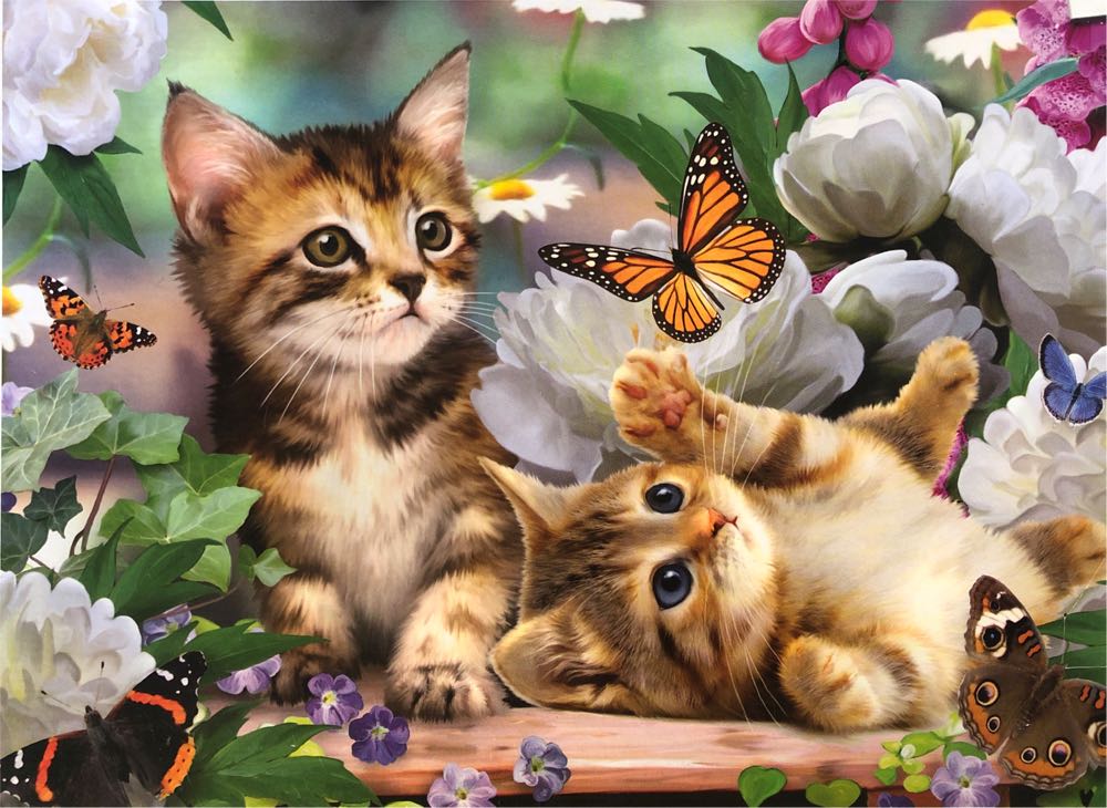 Animal World kittens 🟦 - King puzzle collectible [Barcode 8710125053226] - Main Image 2