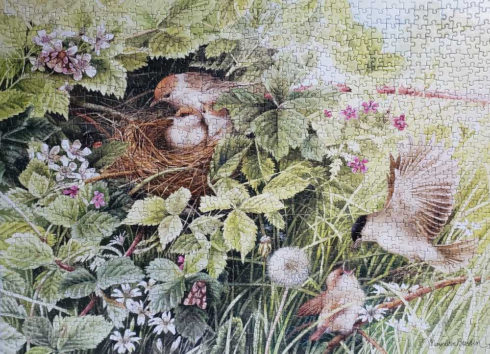 Hidden Nest - Cobble Hill puzzle collectible [Barcode 625012803427] - Main Image 2