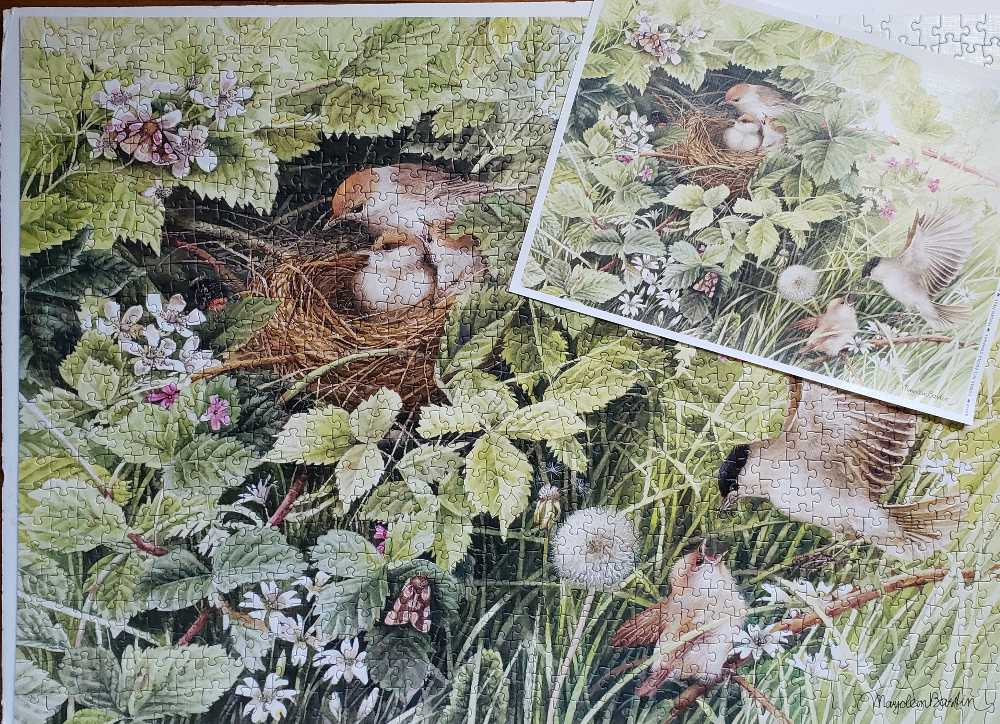 Hidden Nest - Cobble Hill puzzle collectible [Barcode 625012803427] - Main Image 3