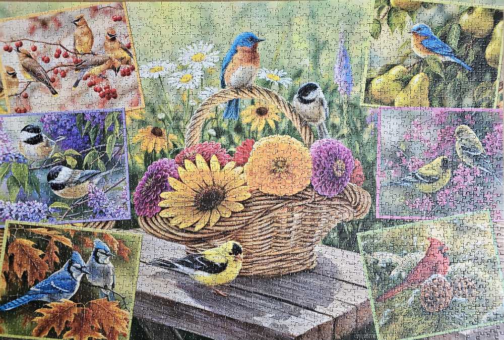 Rosemary’s Birds - Cobble Hill puzzle collectible [Barcode 625012890076] - Main Image 3