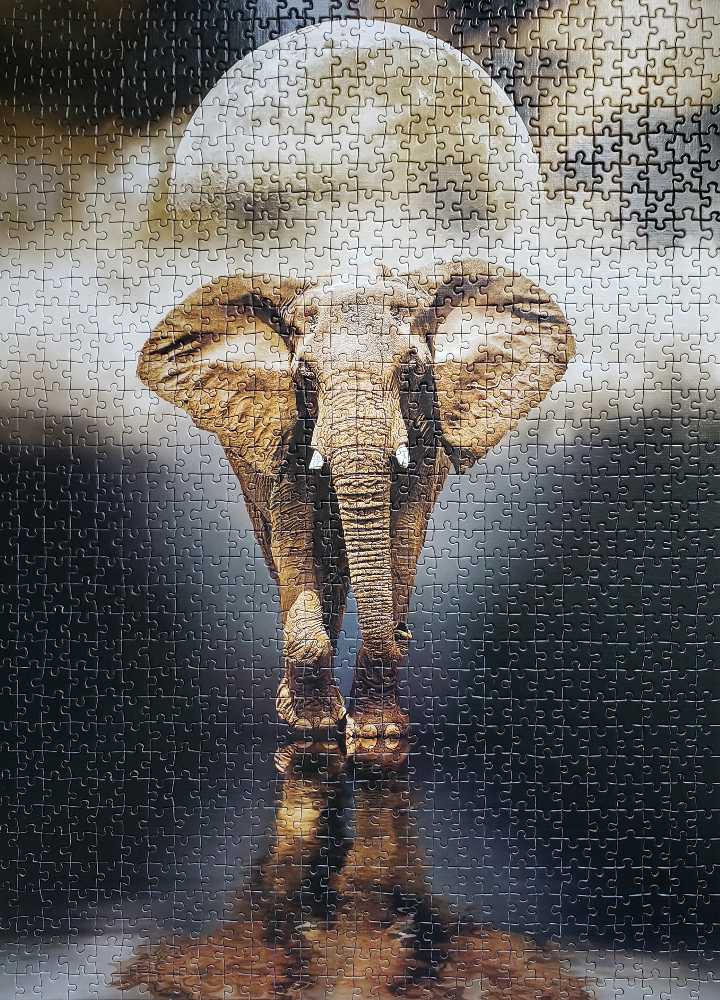 Clementoni: The Elephant - Clementoni puzzle collectible [Barcode 8005125394166] - Main Image 2