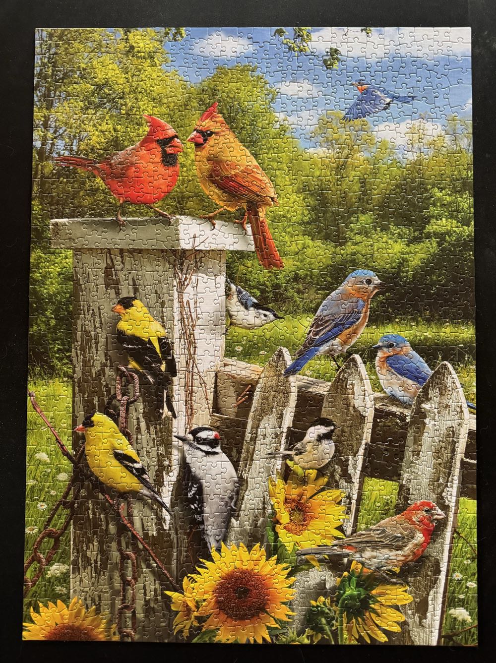 Spring Gossip - Cobble Hill puzzle collectible [Barcode 625012803328] - Main Image 2